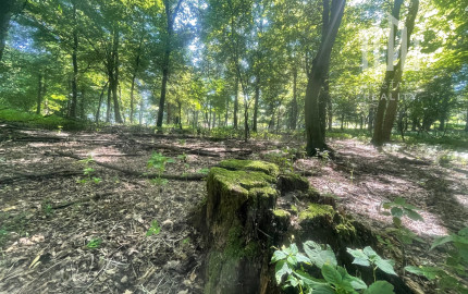 Na predaj samostatná zvernica-poľovný revír 100 ha, Jablonica