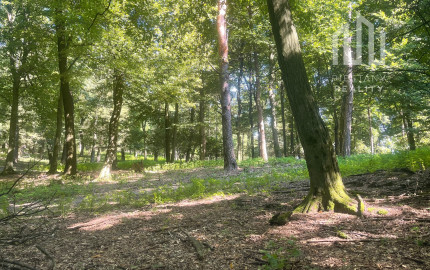 Na predaj samostatná zvernica-poľovný revír 100 ha, Jablonica