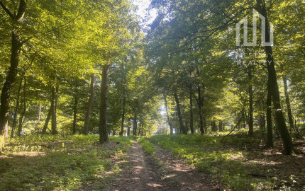 Na predaj samostatná zvernica-poľovný revír 100 ha, Jablonica