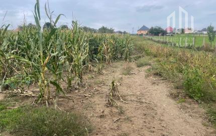 Veľký slnečný pozemok na rodinný dom aj záhradu 3000m2, Kapince