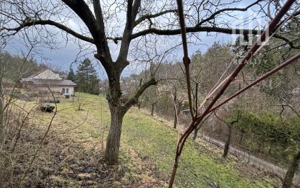 *Rezervované* RD v Banke pri Piešťanoch – pokoj, príroda a veľký pozemok