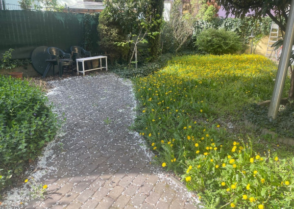 *NA PRENÁJOM* kancelárie v RD, samostatný byt a vínna pivnica v centre PIEŠŤAN