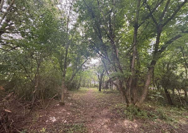 Predaj vidieckej chalupy s kúzlom minulosti v srdci kopaníc – obec Prašník