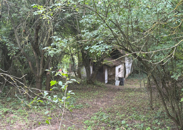 Predaj vidieckej chalupy s kúzlom minulosti v srdci kopaníc – obec Prašník