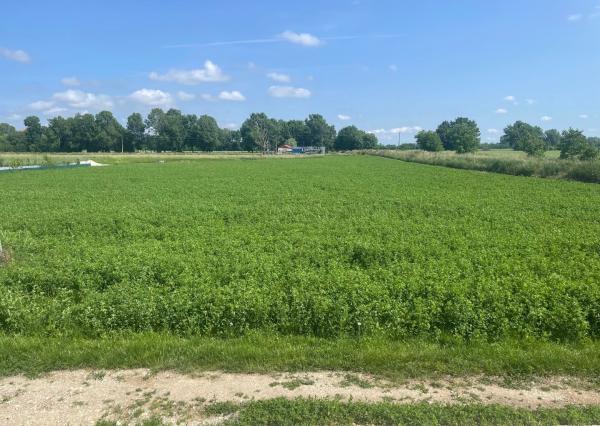 Stavebný pozemok 1000m2 na okraji obce, VESELÉ pri Piešťanoch