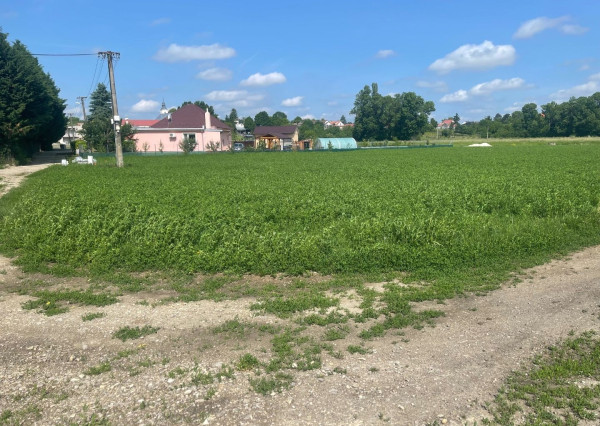 Stavebný pozemok 1000m2 na okraji obce, VESELÉ pri Piešťanoch