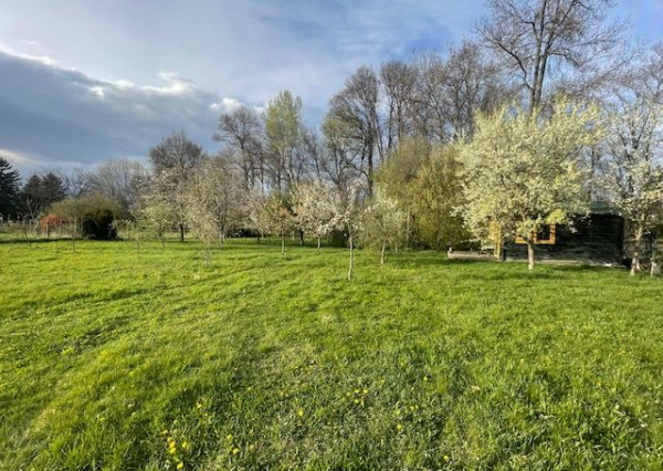 *PREDAJ* pozemkov na stavbu RD v Ostrove pri Piešťanoch