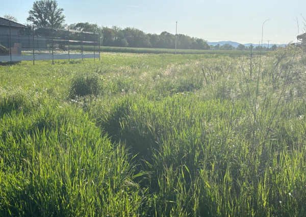 * POZEMOK * na stavbu RD v novej lokalite obce Modrovka