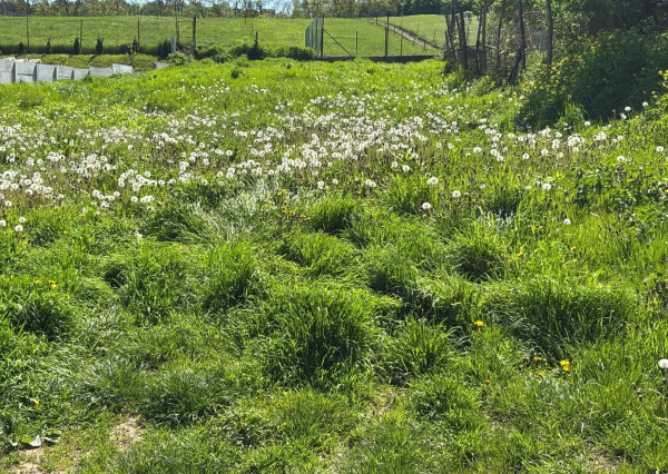 *VÝNIMOČNÝ* stavebný pozemok s nádherným výhľadom