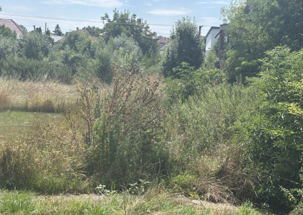 Pozemok na výstavbu RD v srdci obce Veľké Kostoľany