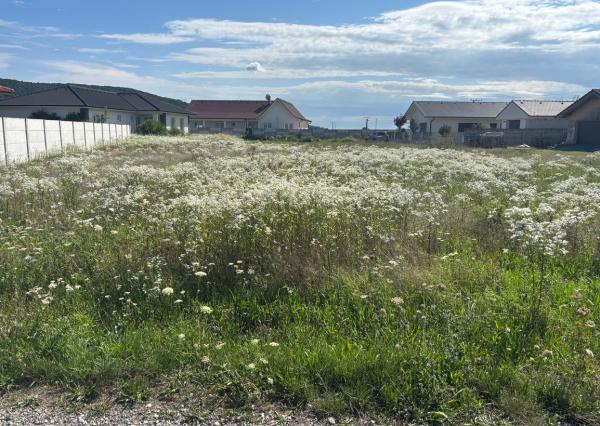 *Na predaj* pozemok v obci Sokolovce v novovybudovanej lokalite