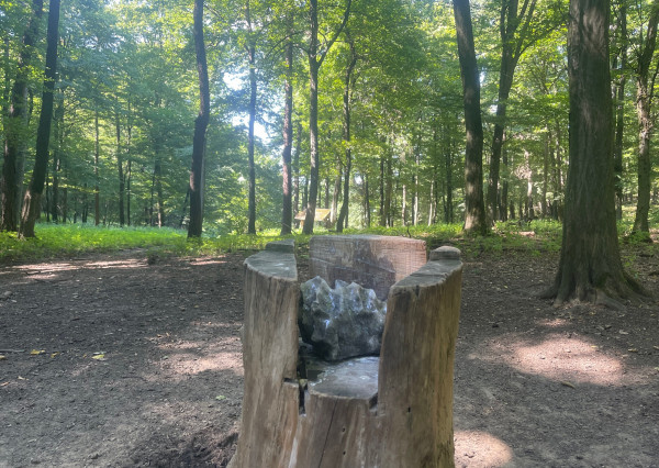 Na predaj samostatná zvernica-poľovný revír 100 ha, Jablonica