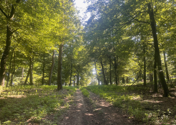 Na predaj samostatná zvernica-poľovný revír 100 ha, Jablonica