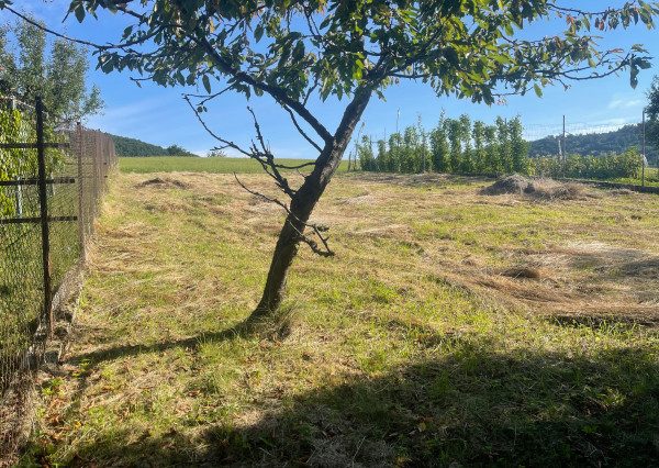 Rodinný dom/chalupa v relaxačnom prostredí, Nová Lehota (NM)