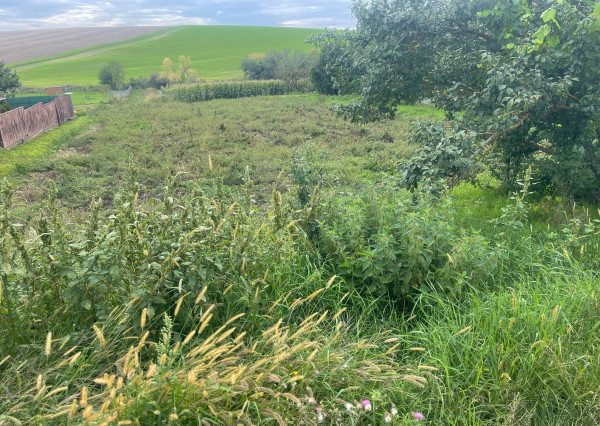 Veľký slnečný pozemok na rodinný dom aj záhradu 3000m2, Kapince
