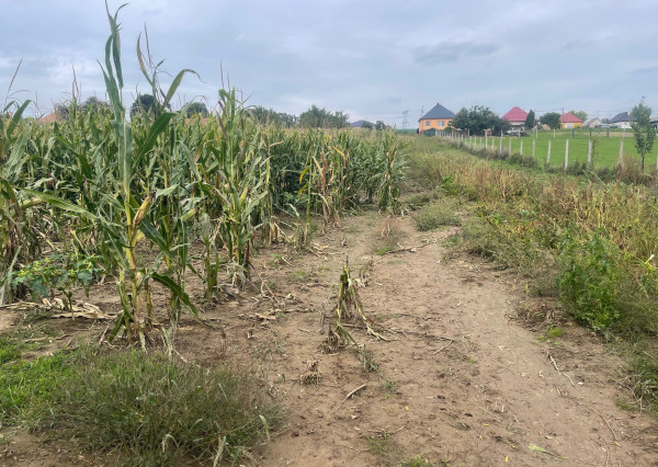 Veľký slnečný pozemok na rodinný dom aj záhradu 3000m2, Kapince
