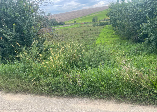 Veľký slnečný pozemok na rodinný dom aj záhradu 3000m2, Kapince