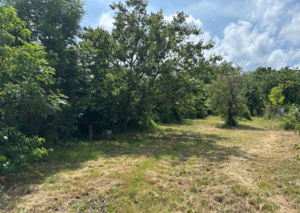 *Na predaj* záhrada v centre obce Šterusy