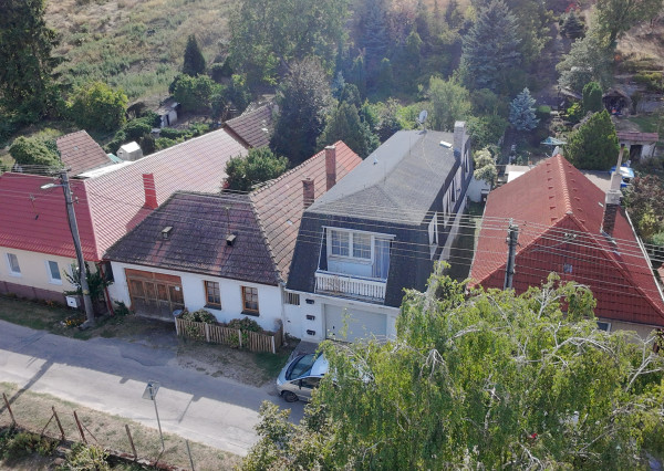 Dva rodinné domy, pozemky 2 004 m² - Ratnovce pri Piešťanoch
