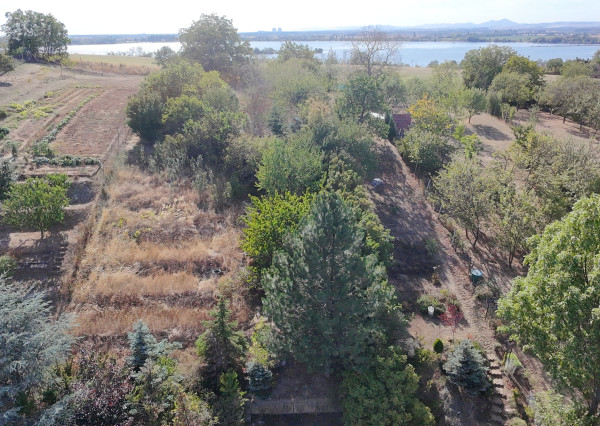 Dva rodinné domy, pozemky 2 004 m² - Ratnovce pri Piešťanoch