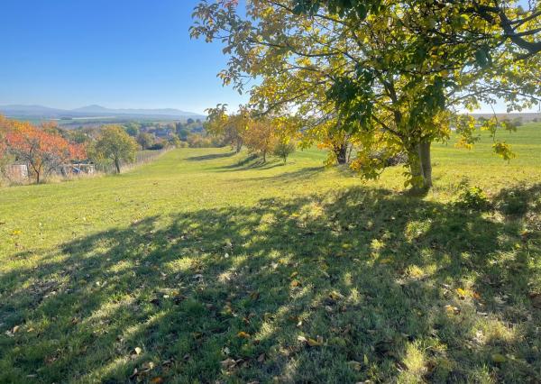 Pozemok so sadom a územným rozhodnutím na dom – Šalgovce