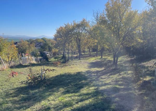 Pozemok so sadom a územným rozhodnutím na dom – Šalgovce
