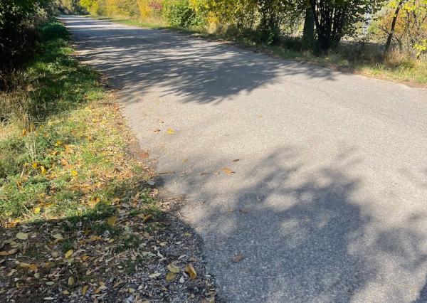 Pozemok so sadom a územným rozhodnutím na dom – Šalgovce