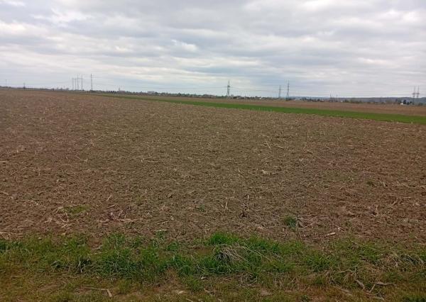 NA PREDAJ: Orná pôda 19 977 m² – Sereď, Horný Čepeň