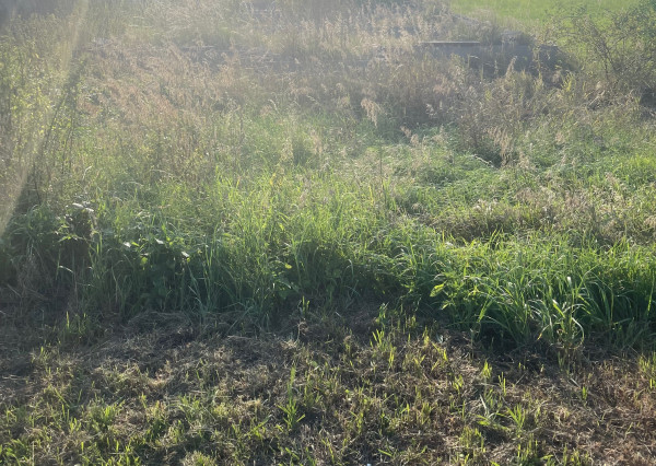 Na predaj pozemok/záhrada 1300m2, Horná Streda