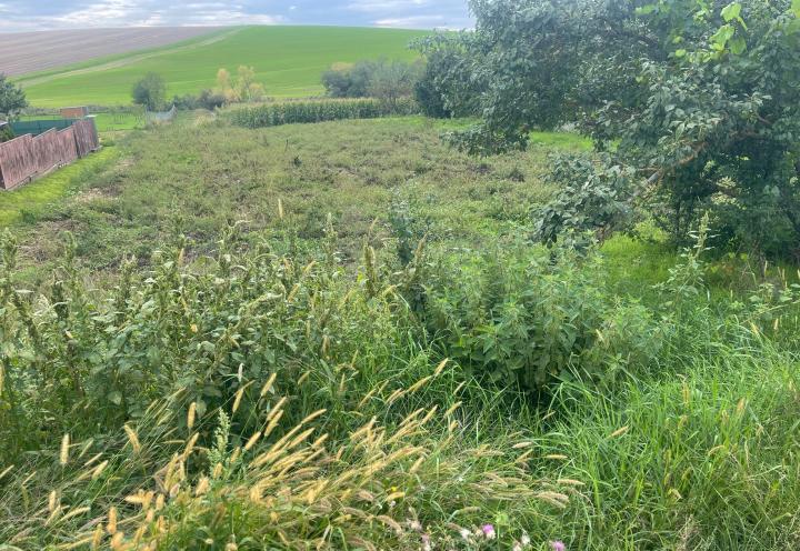Veľký slnečný pozemok na rodinný dom aj záhradu 3000m2, Kapince