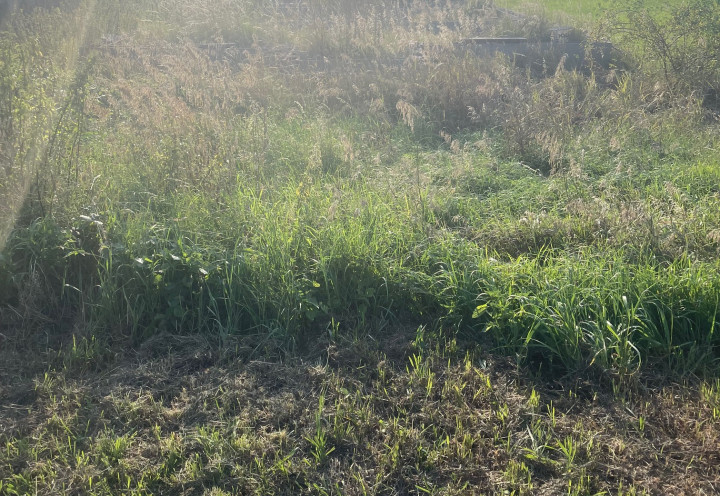 Na predaj pozemok/záhrada 1300m2, Horná Streda