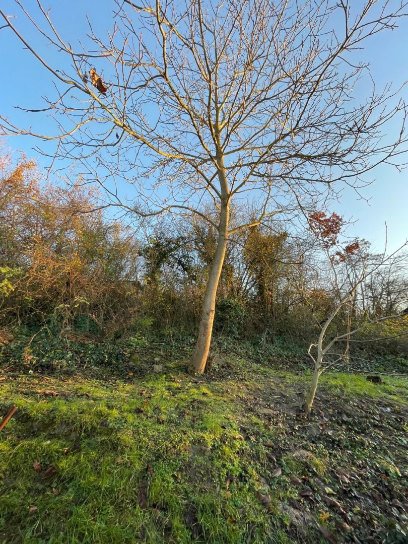 ZNÍŽENÁ CENA ! Na predaj záhrada 405m2, Ratnovce, Piešťany