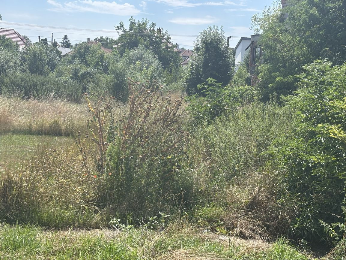 Pozemok na výstavbu RD v srdci obce Veľké Kostoľany