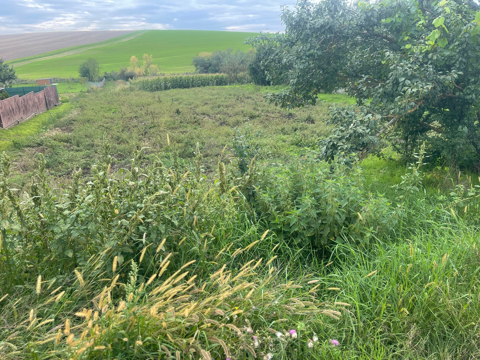 Veľký slnečný pozemok na rodinný dom aj záhradu 3000m2, Kapince