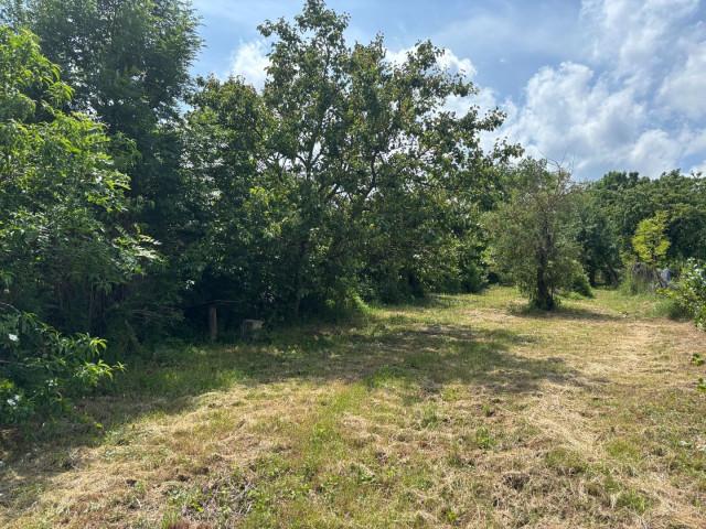 *Na predaj* záhrada v centre obce Šterusy