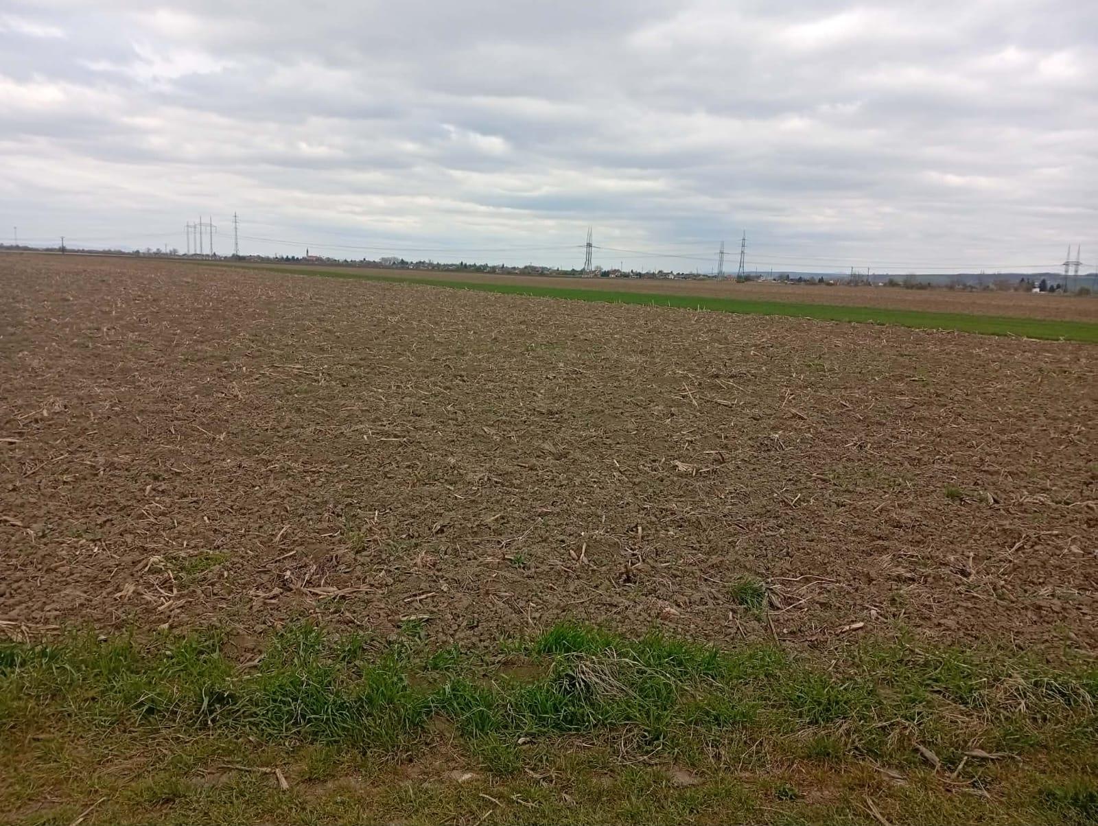 NA PREDAJ: Orná pôda 19 977 m² – Sereď, Horný Čepeň